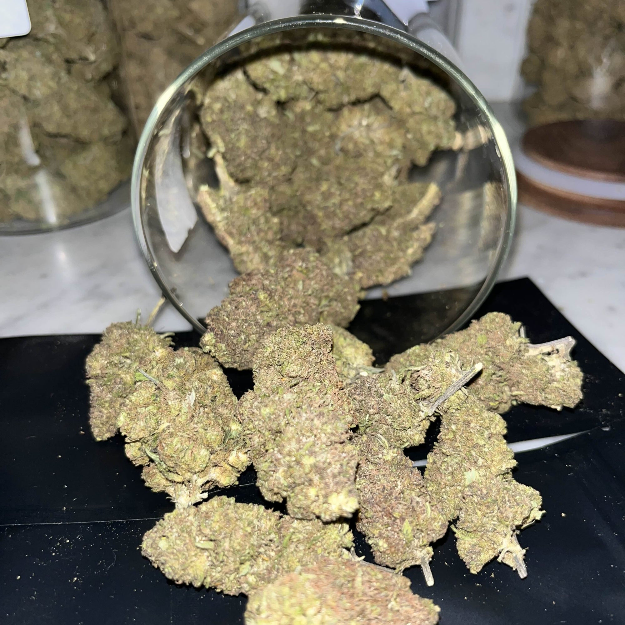 Blueberry – Fleur CBD 10 %