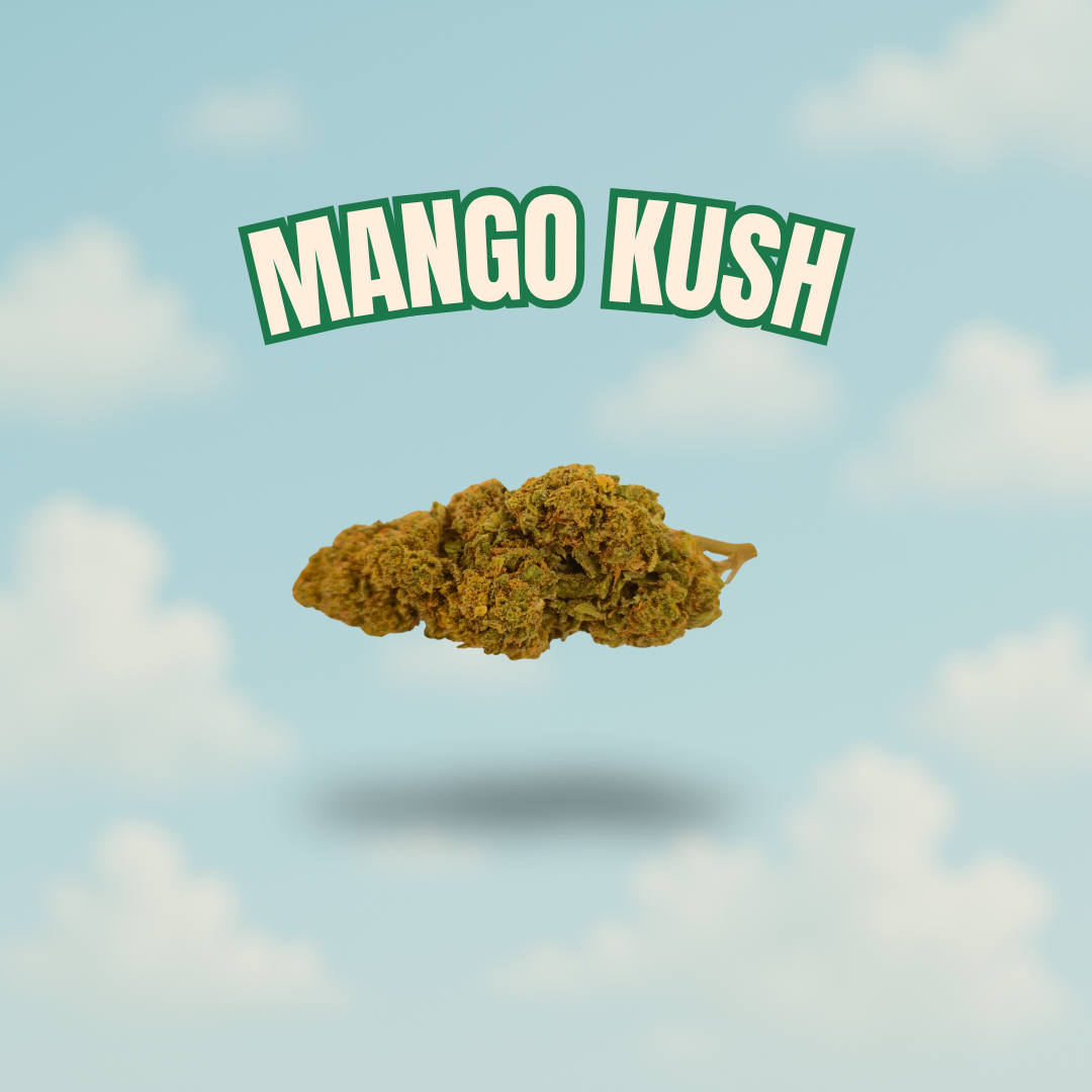 Mango Kush – CBD 12%