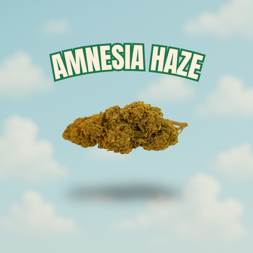 Amnesia Haze –  CBD 11 %