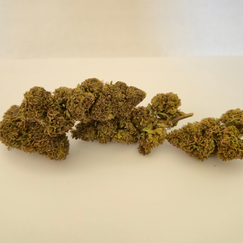 Blueberry – Fleur CBD 10 %