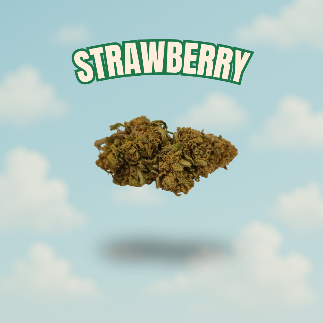 Strawberry – Fleur CBD 10 %