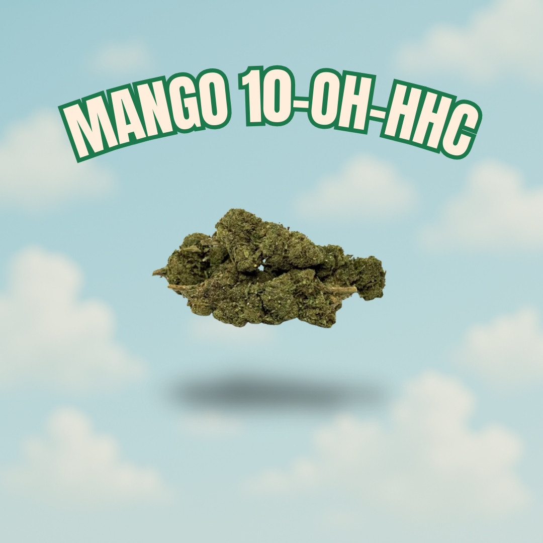 Mango – 10-OH-HHC 15 % |  France