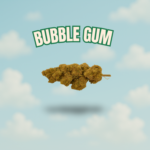 Bubble Gum Boostée – CBD 26 %