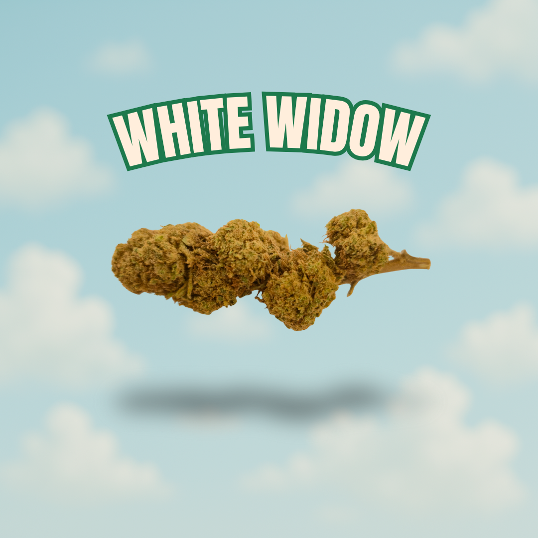 White Widow Boostée – CBD 25 %