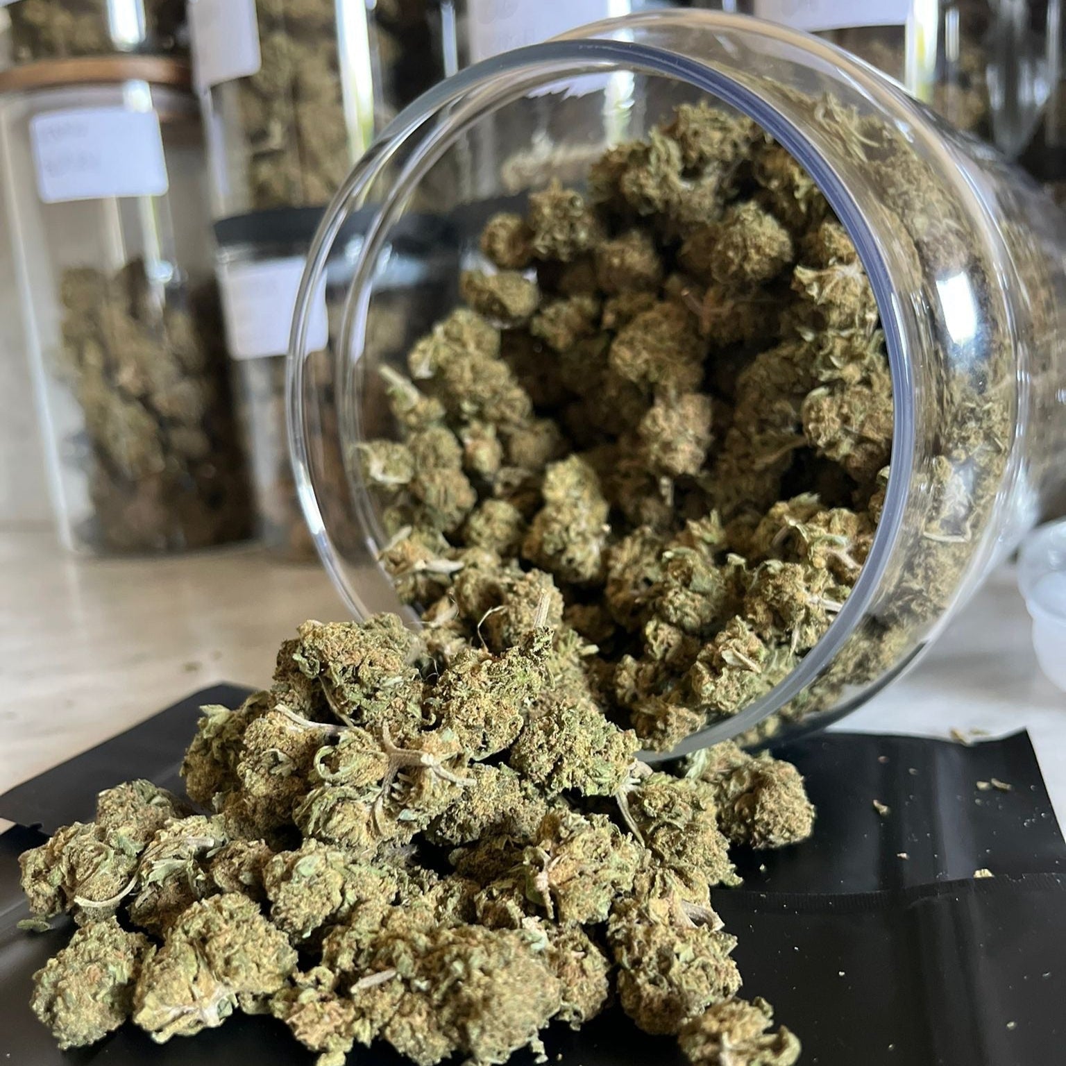 Small Bud Amnesia – CBD 10%
