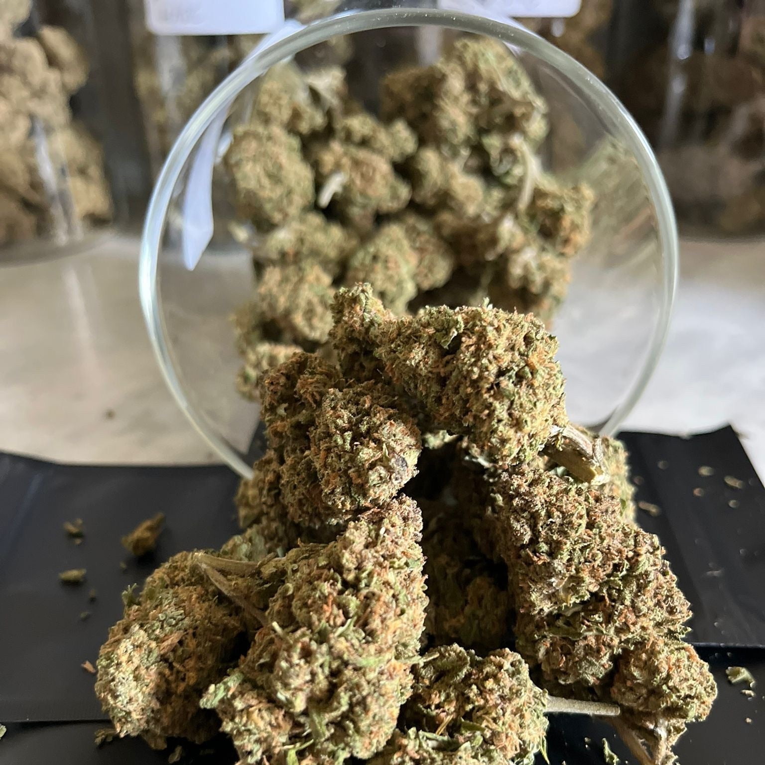 Amnesia Haze –  CBD 11 %