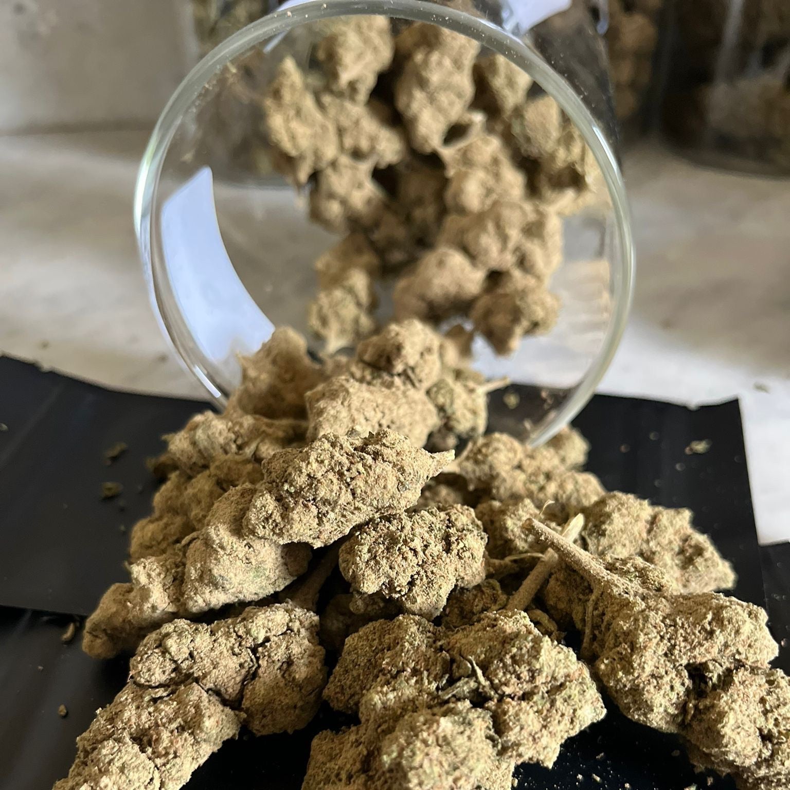 Bubble Gum Boostée – CBD 26 %