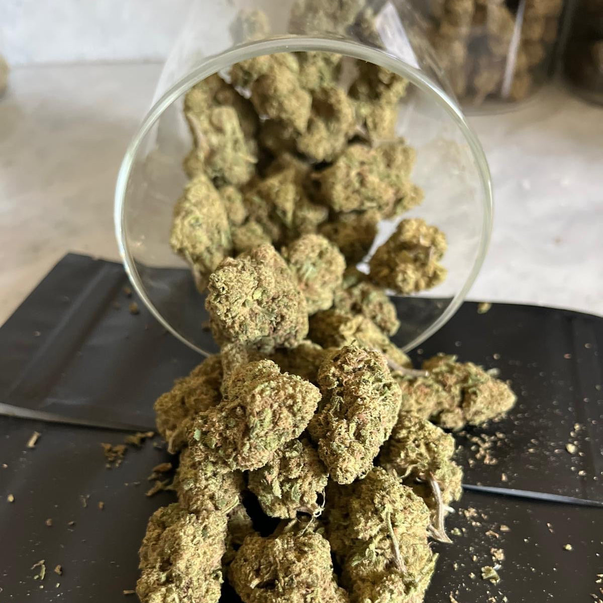Super Silver Haze – CBD 8 %